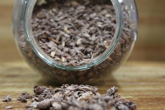 Foto Granola de chocolate