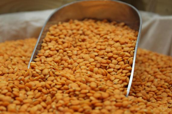 Foto lenteja roja pelada