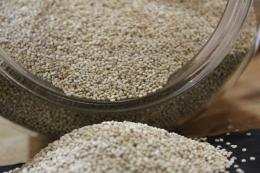 Quinoa