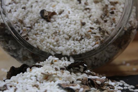 Foto Risotto Toscana